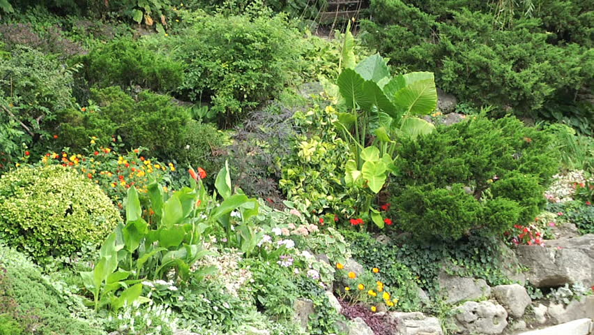 Nature Landscape. Public Botanical Garden.
North York, Ontario, Canada 
