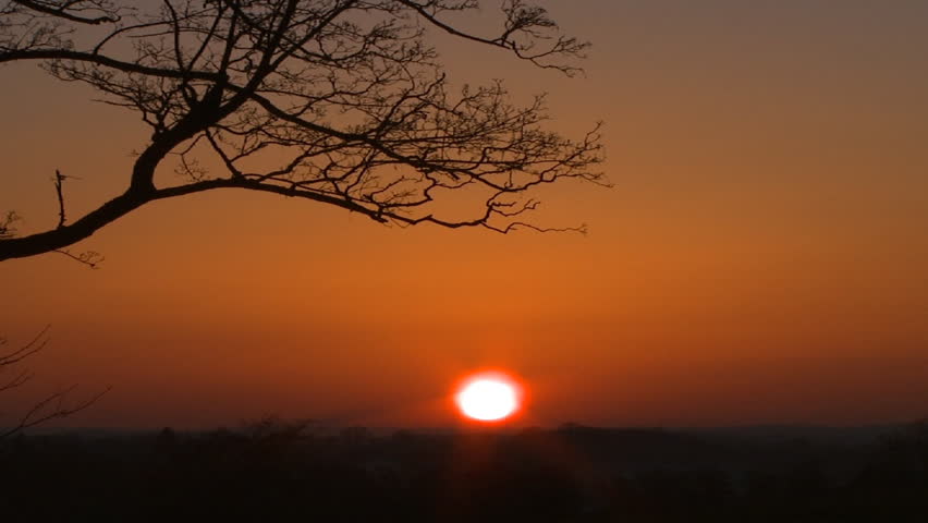 Sunset with CG birds, HD 1080 25p