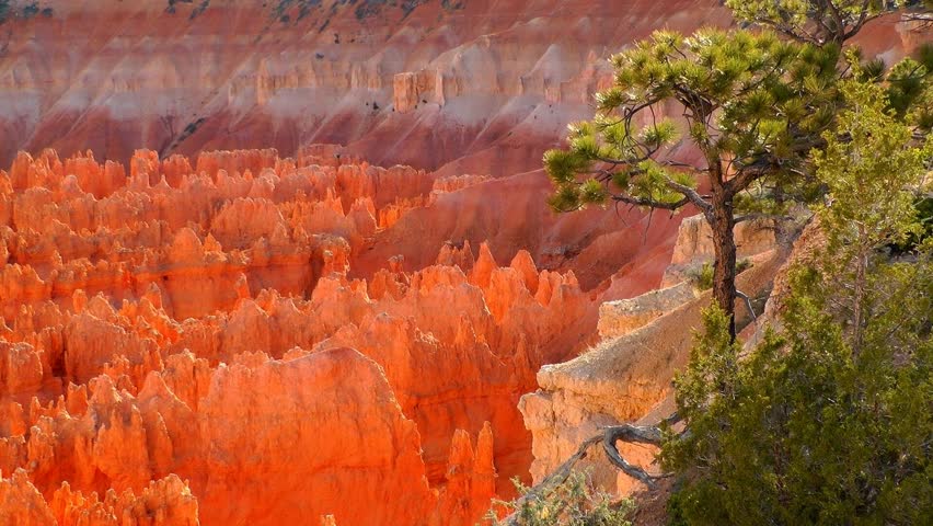 Bryce Canyon, Utah, USA (time lapse)