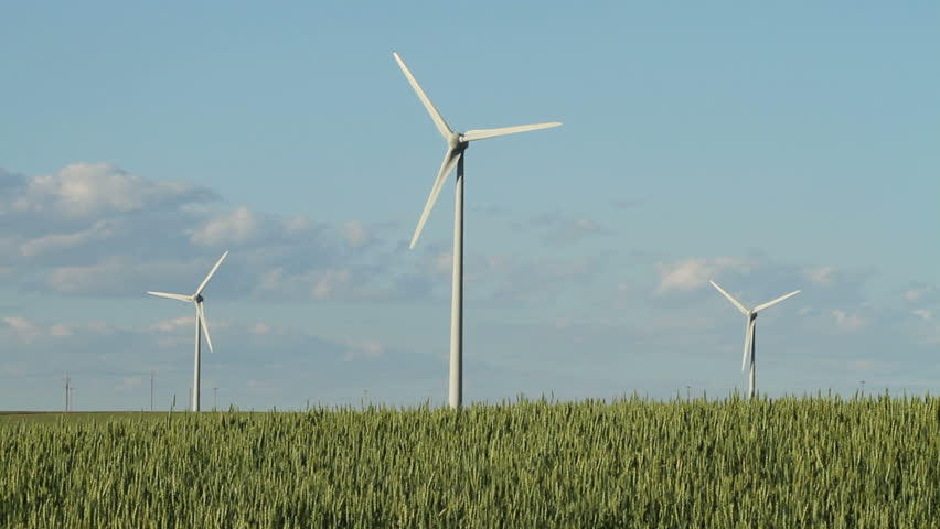 Wind Turbines in grain field