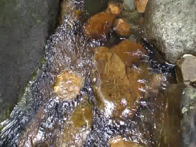 Stream