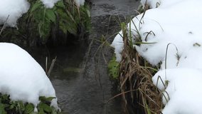 Small streamlet in a winter wood