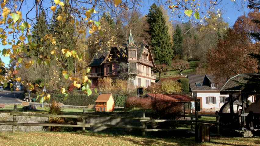 Village view through autumn birch leaves