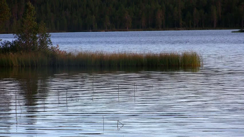 ripples on a lake