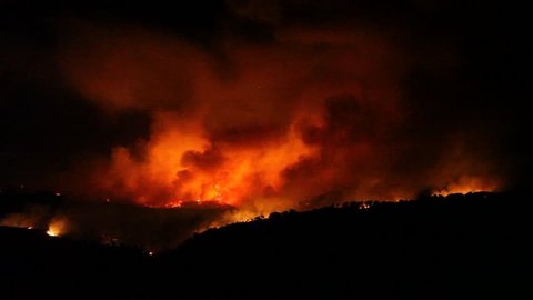 Fire storm in the forest hell on earth; horrific fire destroys thousands of acres of trees