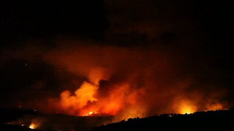 Fire storm in the forest hell on earth; horrific fire destroys thousands of acres of trees