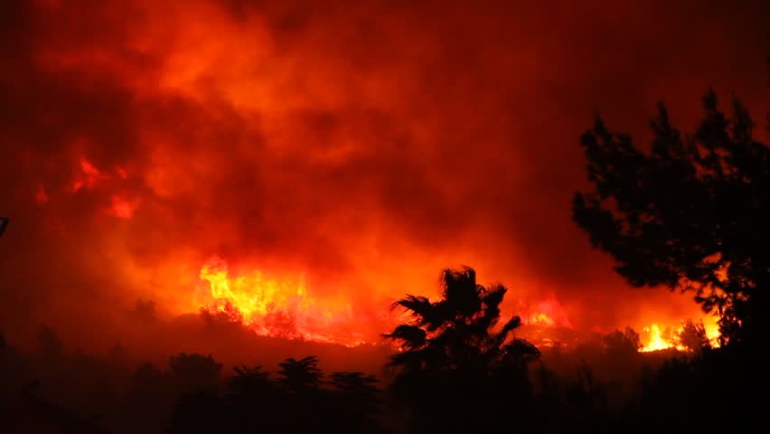 Fire storm in the forest hell on earth; horrific fire destroys thousands of acres of trees Royalty-Free Stock Footage #1303660