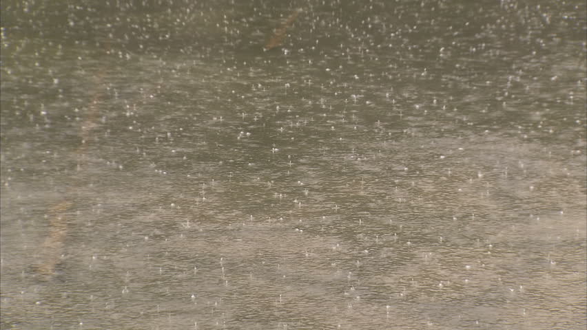 Rain drops on lake surface