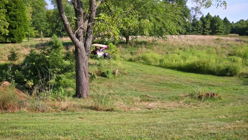 Small car with passengers goes on green lawn in summer