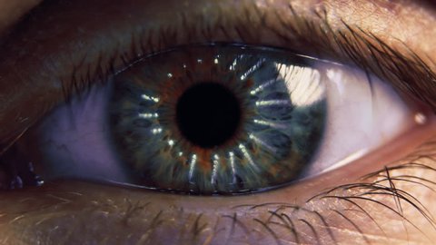Eye iris and pupil macro. Reflected moving light rays into the human eye with zoom. Close up