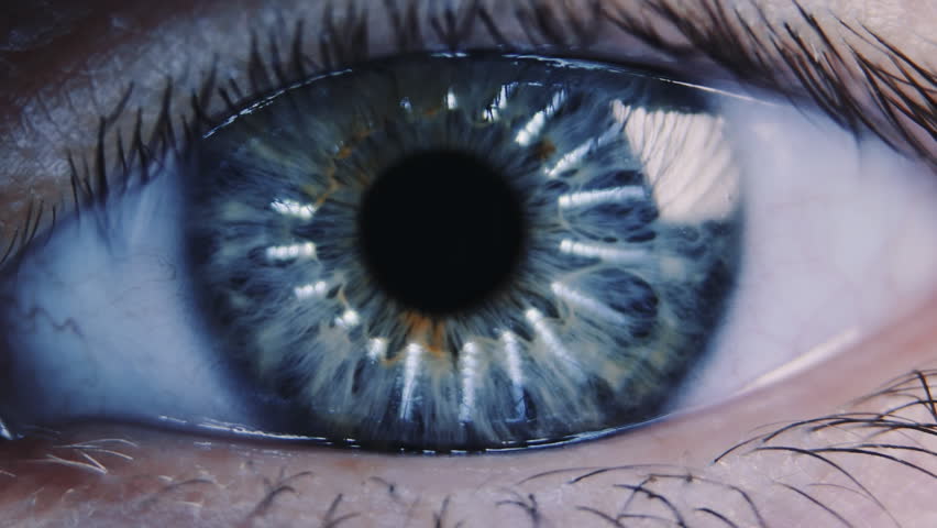 Eye iris and pupil macro. Reflected moving light rays into the human eye with zoom. Color correction. Close up | Shutterstock HD Video #13045853