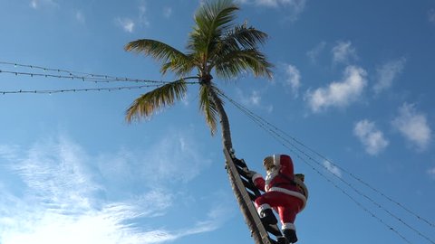 FLORIDA CIRCA 2015 - A Santa in a palm tree marks Christmas in Florida or another tropical destination.