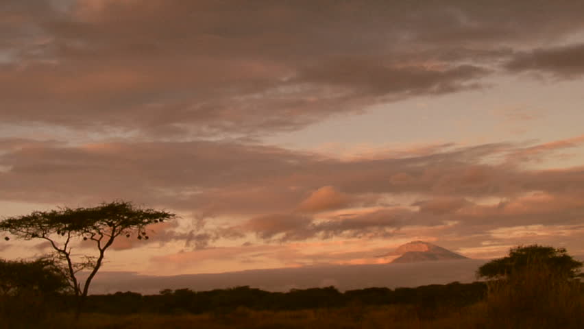 Dawn arises on the beautiful savannah of Africa