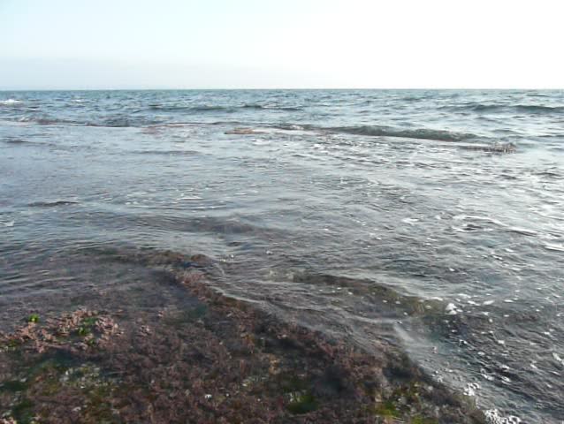 Waves gently lap against the rocks at the shoreline