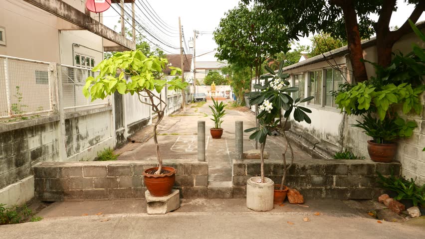 Tropical plants in pot, small bystreet between alley, passage between Phont Tawi 1 and Phont Tawi 2 alleys, Bang Chak district of Bangkok city. Camera stand for a while and then move forward