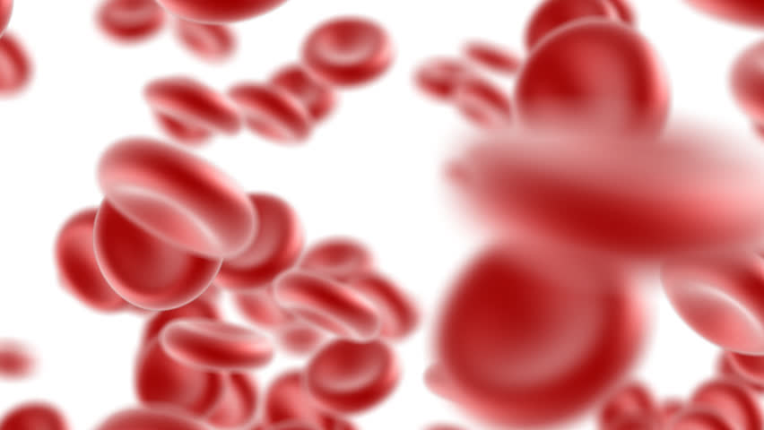 Blood Cells Flow. High Definition Stock Footage Video (100 ...