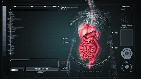 Human Circulatory Anatomy with Medical Touch Screen Interface. Seamless Loop.
