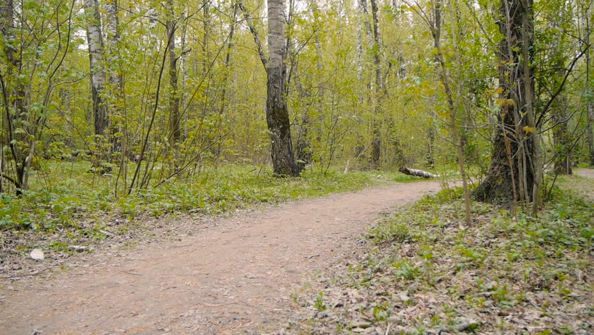 girl rides a bicycle on a footpath in the woods