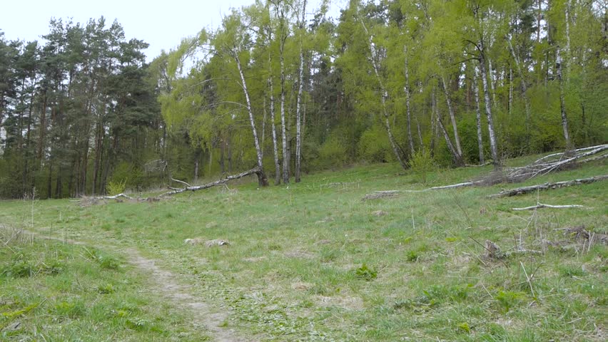 guy rides a bicycle on a footpath in the woods