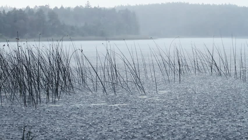 rain on the lake