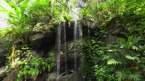 Beautiful waterfall in the garden in the green. 4k video.