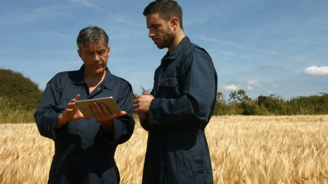 Farmers checking crops using tablet in high quality format