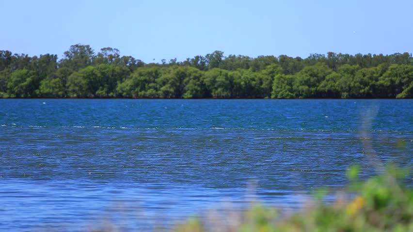 Bright Blue Water with Trees in the Background
