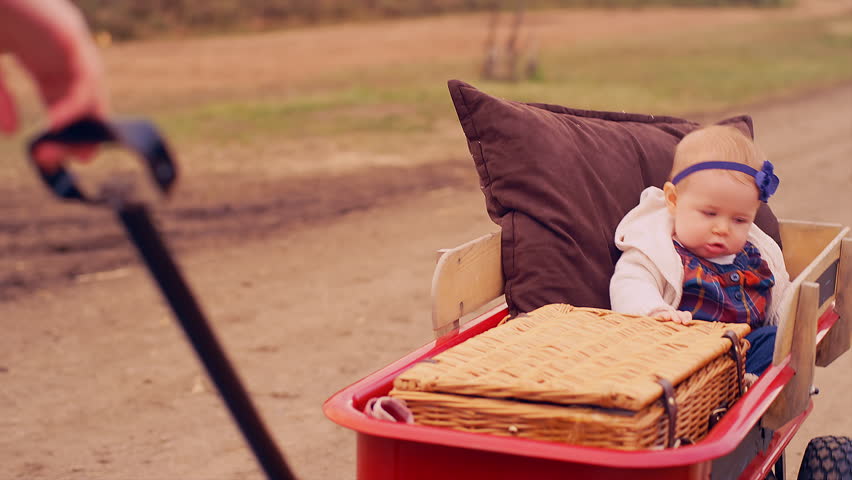 A baby being pulled in a wagon at a pumpkin patch on a fall day