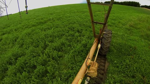 A time-lapse of a pivot watering a corn field 