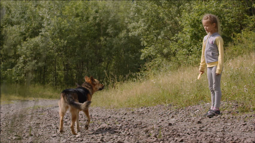 Little girl feeds a dog on a chain