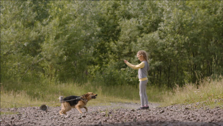 Little girl plaing with a dog