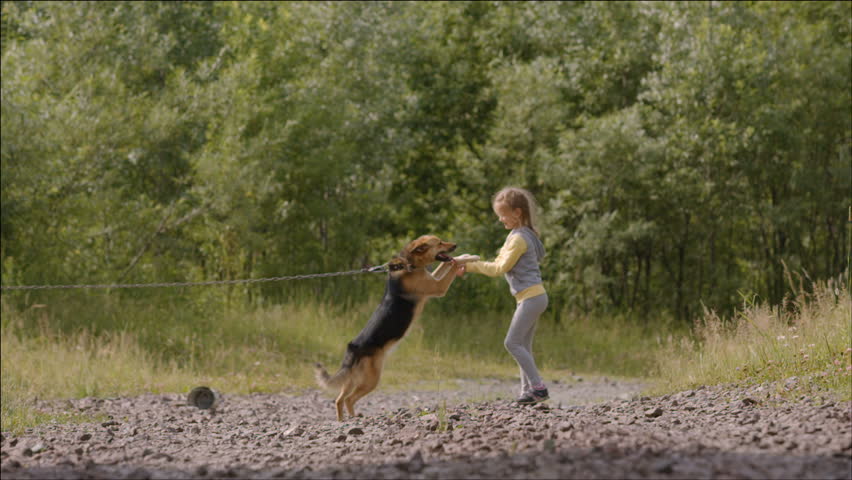 Little girl plays and runs with a dog on a chain