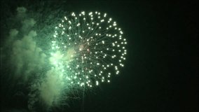 Firework festival clip