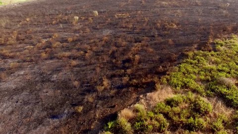 Aerial View. Drone Flight Over Field After Fire. Spanish Andalucia