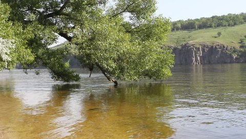 The Dnieper river bank in Ukraine,river landscape