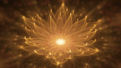 Radiant lotus, water lily, enlightenment or meditation and universe - Orange lotus with rays of light, starry lights on black background, animated abstract illustration, 30fps, HD1080, seamless loop