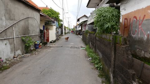 KUTA, INDONESIA - MARCH 12, 2015: Lively but rather empty alley. POV walk through, unidentified people, dogs, houses around. Narrow bystreet, Jalan Margapadmayana, at Denpasar city outskirts