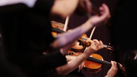 Violin at a concert