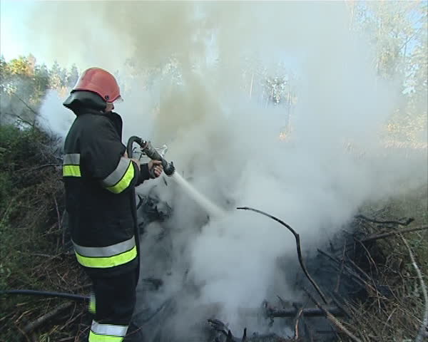 Uniformed firefighter with the hose in the hands fighting fire in the forest. 