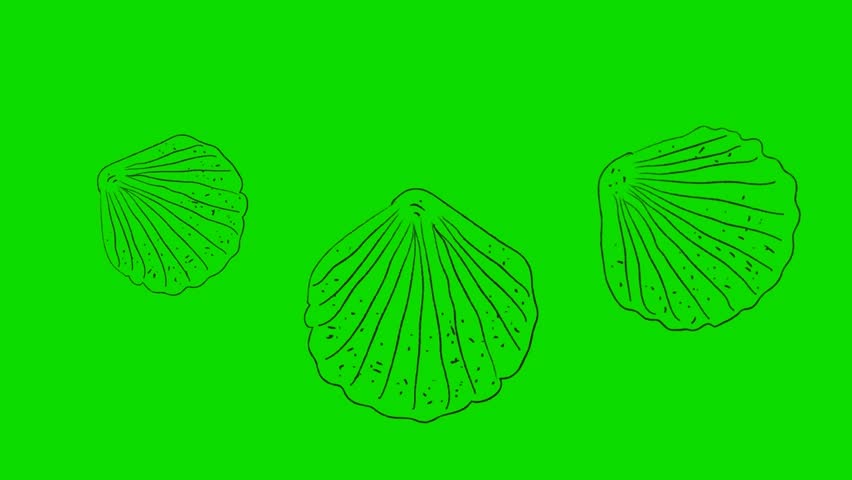 Real Animated Cartoon Shells on a Green Screen Background