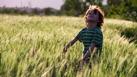 Boy on Summer Vacation. Little curly red-haired boy stands among the wheat field arms spread out against the wind. Slow Motion 240 fps
