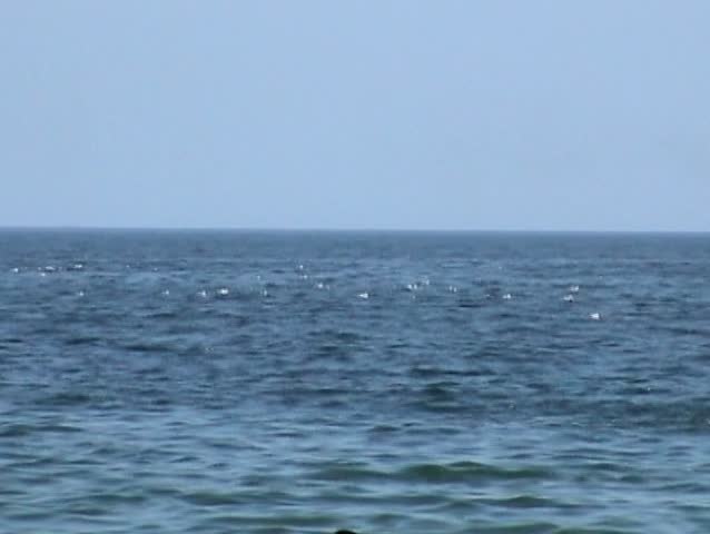 Pan of a fishing ship.