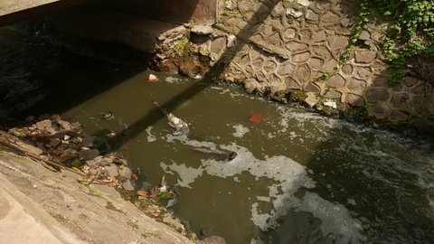 Gutter illuminated by sunlight. foamy flow of raw sewage and floating litter. Stream flowing into the shaded area over concrete banks, central Jakarta area.