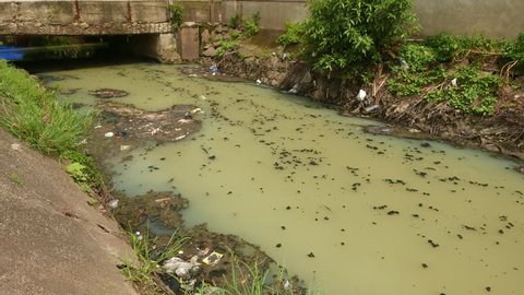 Green dirty flow, shit floating over raw sewage water stream. Close up view, urban area, concrete banks and small bridge, muddy canal flow under