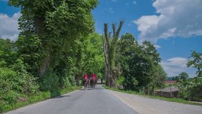 In this video, we can see men on horses walking on a country tree-lined road. Wide-angle shot.