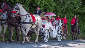 In this video, we can see a carriage driving on a country road on a summer day and there is a young married couple sitting in it. Close-up shot.
