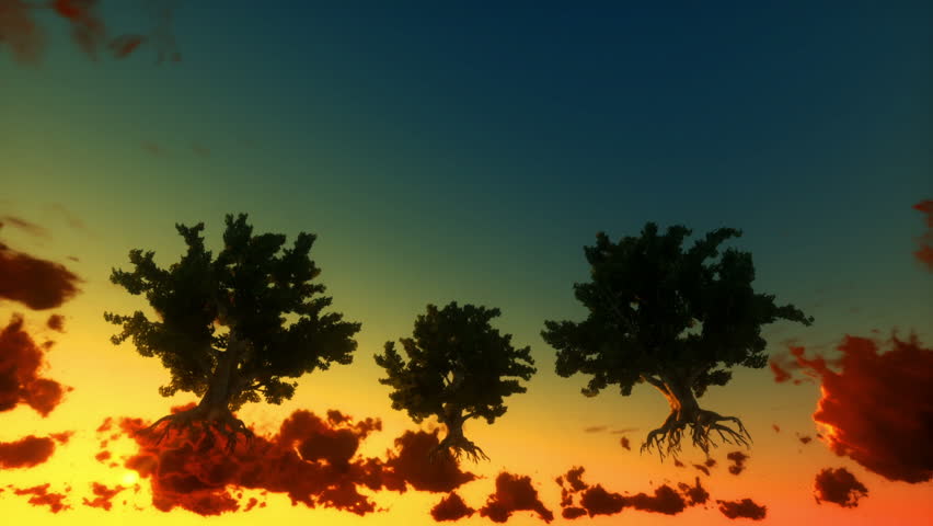 Floating trees and time lapse clouds, sunrise