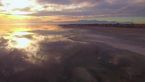 Aerial (drone) 4K HD video of flying on the beach with birds towards the sunset/sunrise. Birds are flying underneath, on top, and on the side of the frame.