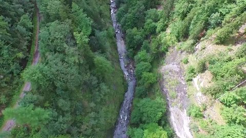 Aerial shot flight above the forest 