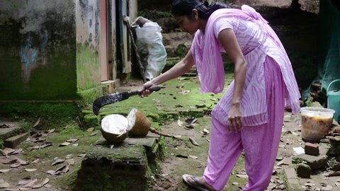 Indian Girl Cutting Jackfruit in Half